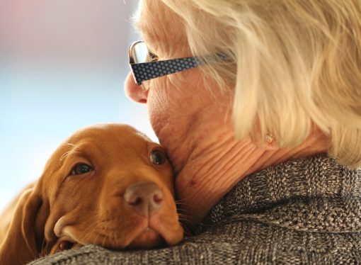 Cari animali, per voi si può fare di più in ogni città