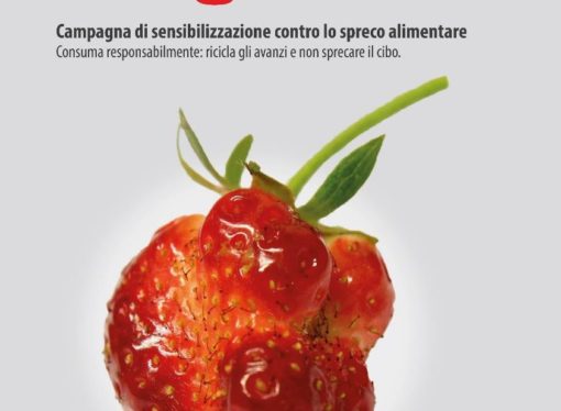 No all’abbandono dei rifiuti. No allo spreco alimentare