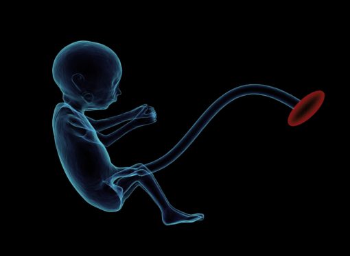 Gravidanza: diagnosi preimpianto contro le malattie genetiche