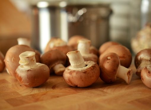 A Legnano l’esposizione “funghi dal vero”