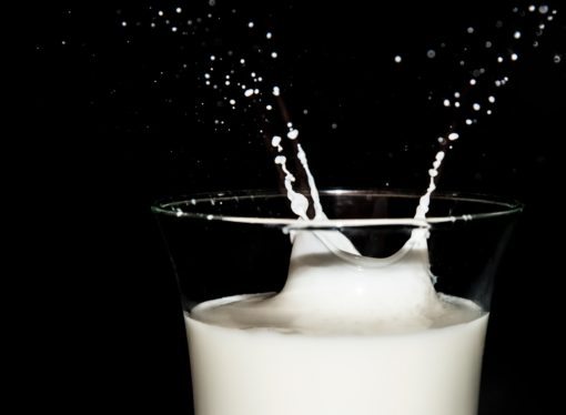I 50 anni della Cooperativa Latte Abbiatense