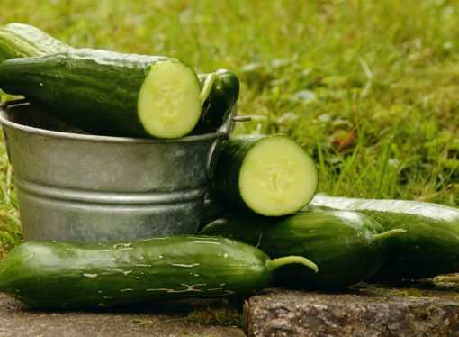 Come difendere l’orto con i metodi naturali