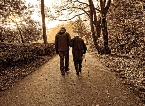 Camminare lungo la Via Francisca del Lucomagno