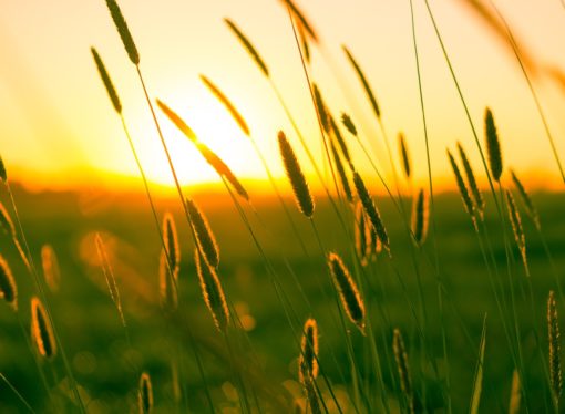 Come vivere l’esperienza di un labirinto sensoriale