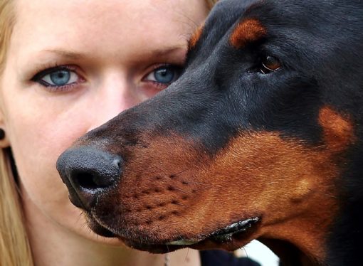 Nozze Pet Friendly: “Io non mi sposo senza il cane”