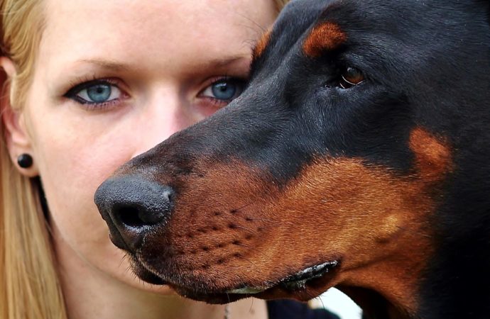 Nozze Pet Friendly: “Io non mi sposo senza il cane”