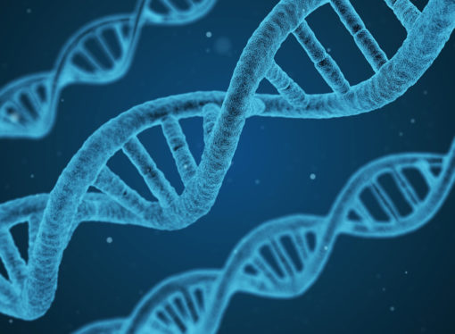 Medicina e Dna alleati contro il diabete