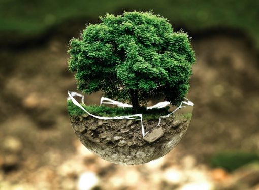 Rifiuti e green economy, l’esempio della Lombardia