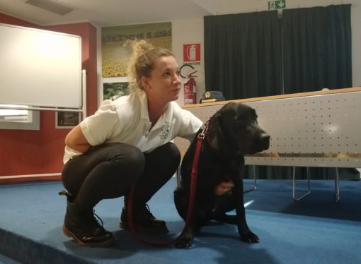 Un cucciolo educato è un futuro cane felice