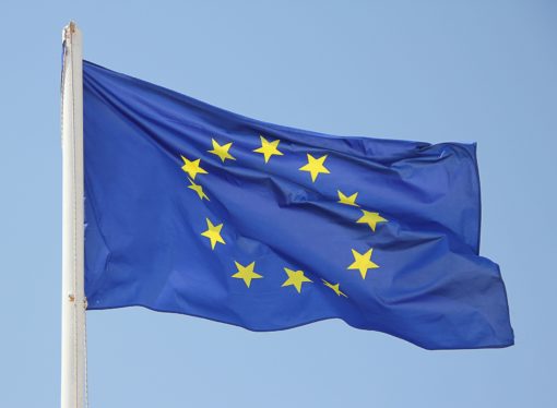 Young Effect ha sei posti per un corso europeo