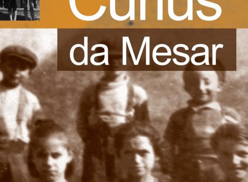 Un libro su eventi storici e curiosità di Mesero