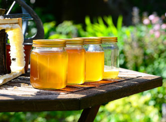 Dallo studio del DNA del miele un aiuto all’ambiente