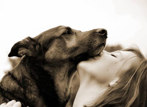 Prendersi cura di un cane ti cambia la vita in meglio