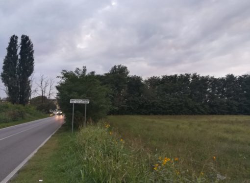 Passi avanti sulla pista ciclabile di Magenta